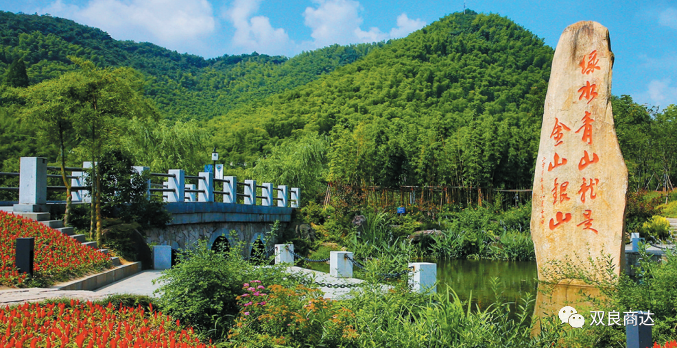 臥虎藏龍取景地，安吉大竹海！商達五鶴村農村污水示范站點投入試運行